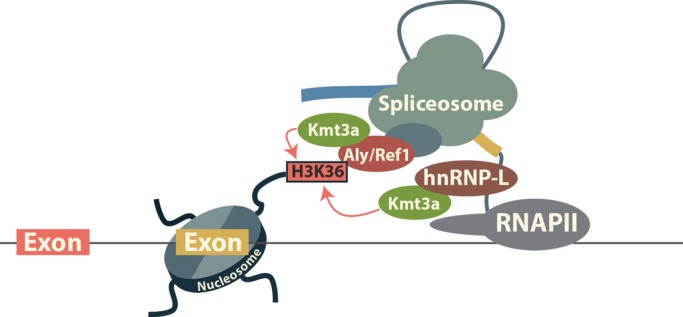 Figure 2.