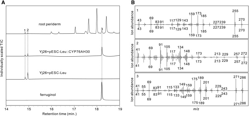 Figure 6.