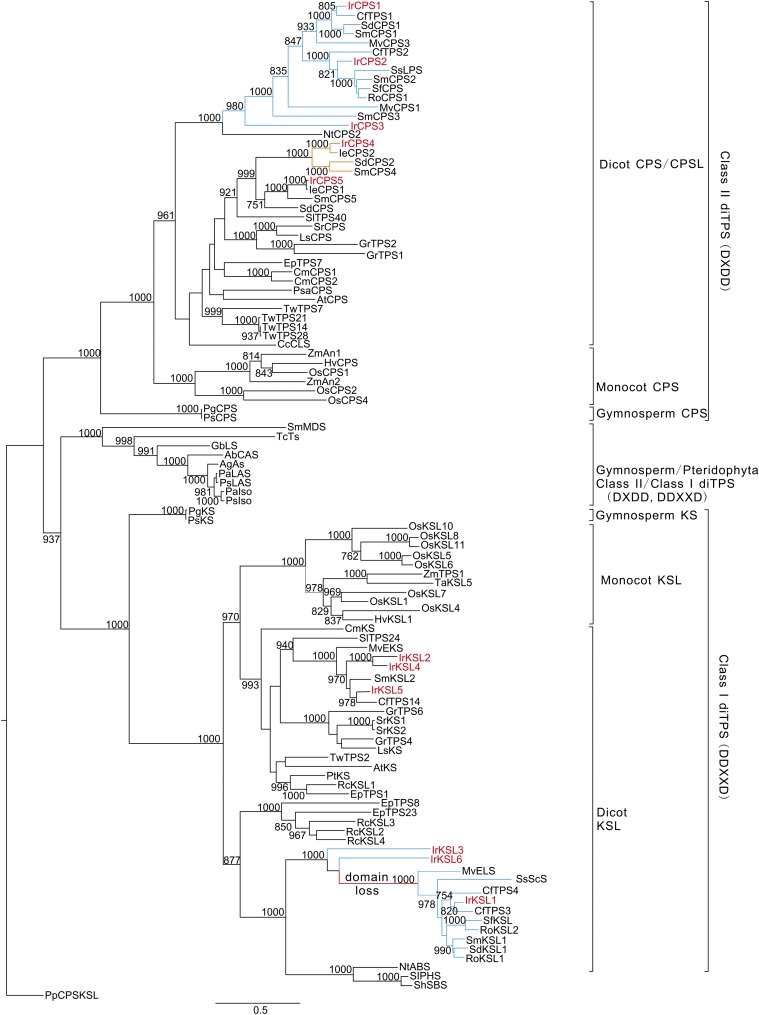 Figure 3.