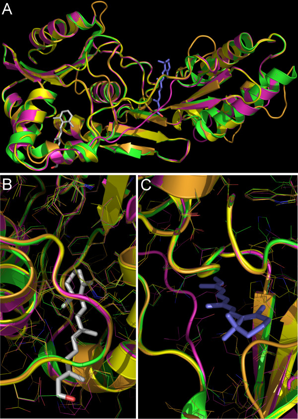 Figure 11