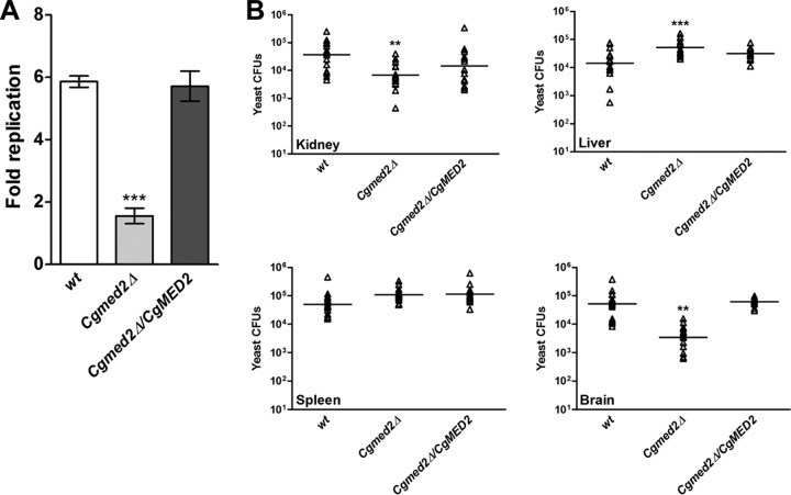 FIG 6