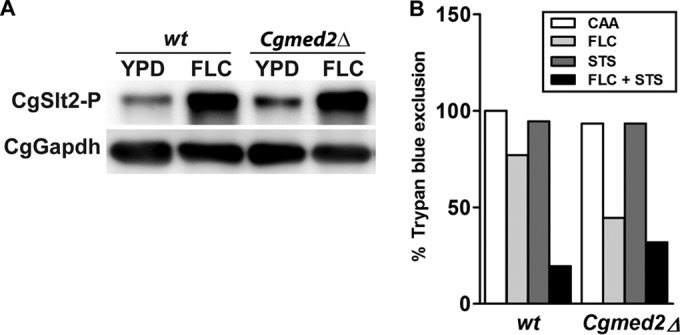 FIG 2