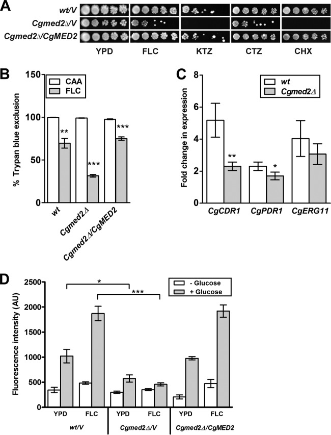 FIG 1