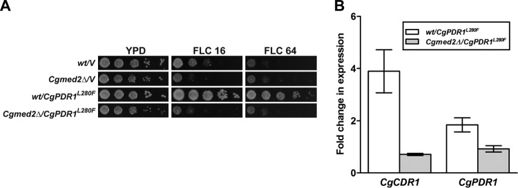 FIG 3