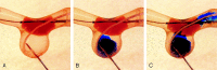 F<sc>ig</sc> 1.
