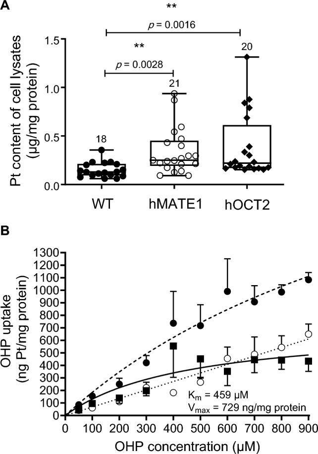 Fig. 3