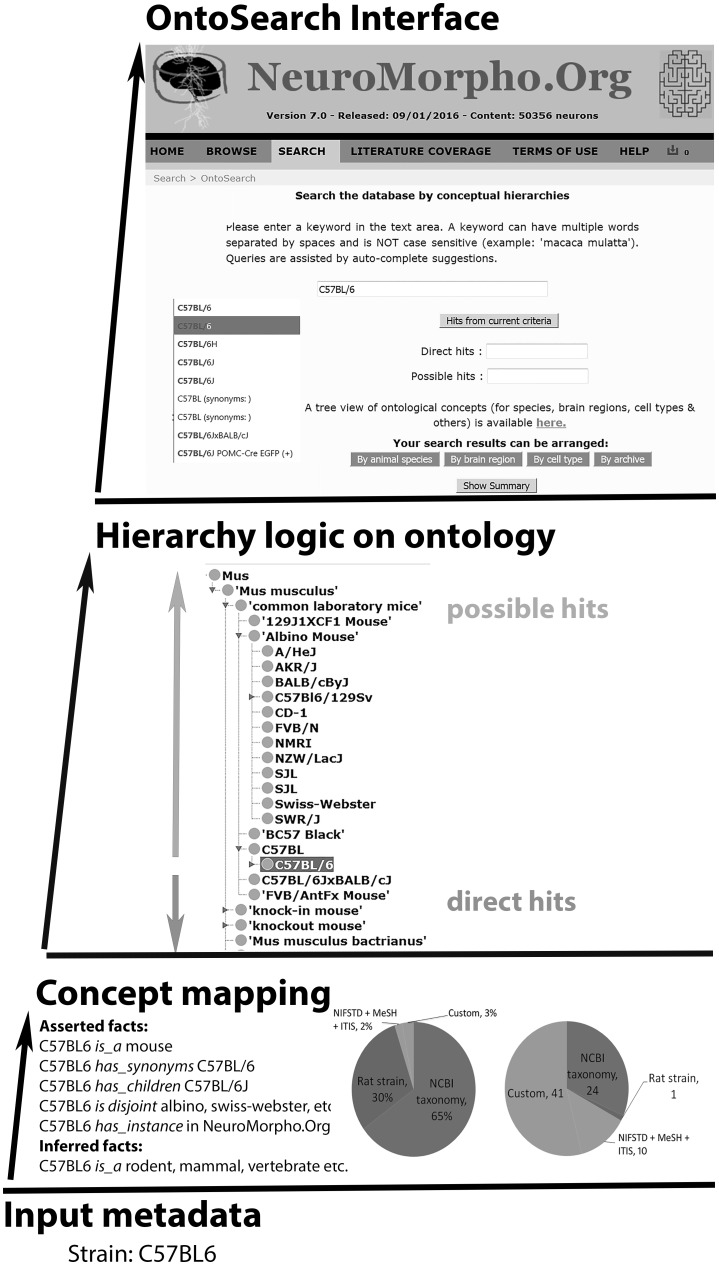 Fig. 2