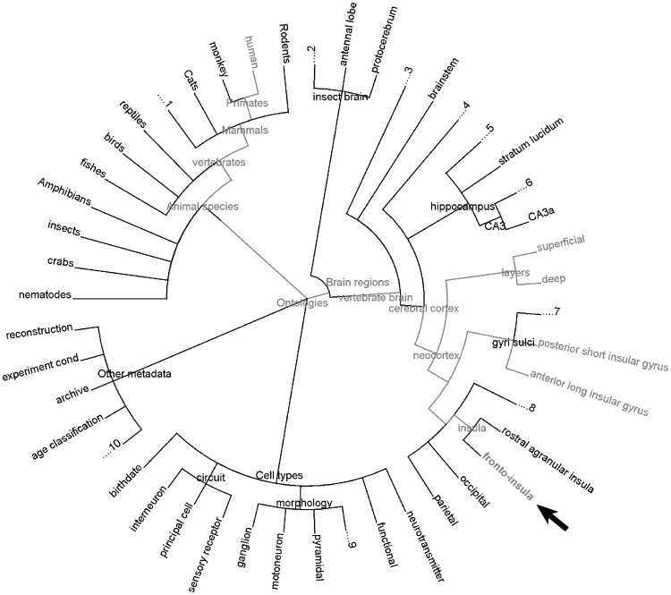 Fig. 3