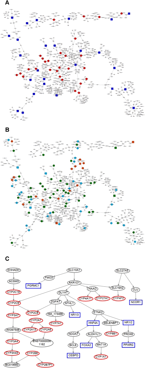 Figure 5.