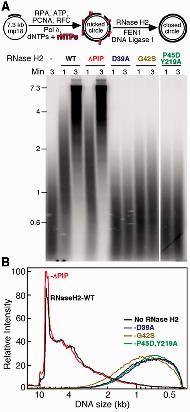 Figure 4.