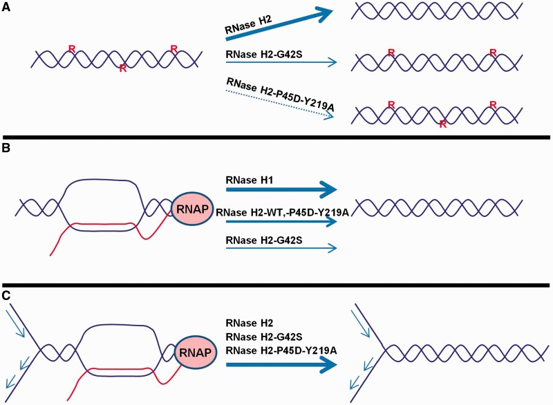 Figure 7.