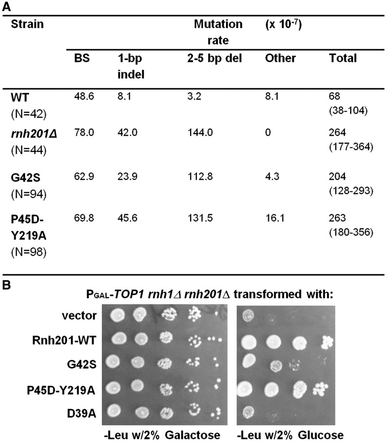 Figure 5.