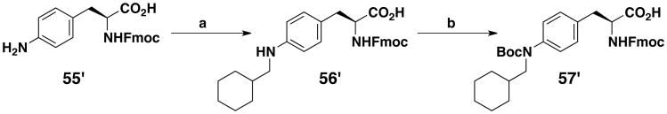 Scheme 5