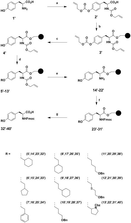 Scheme 1