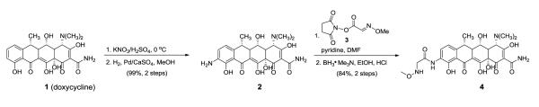 Scheme 1