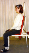 Fig. 2a
