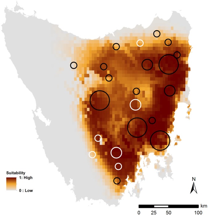 Fig 3