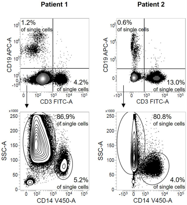 Figure 3