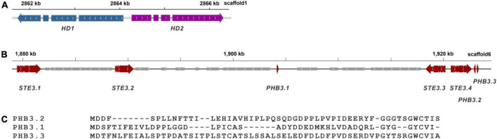 FIGURE 7