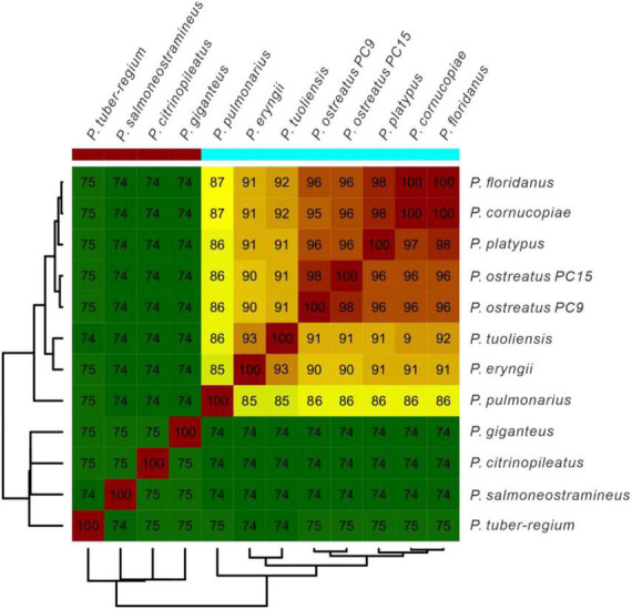 FIGURE 4