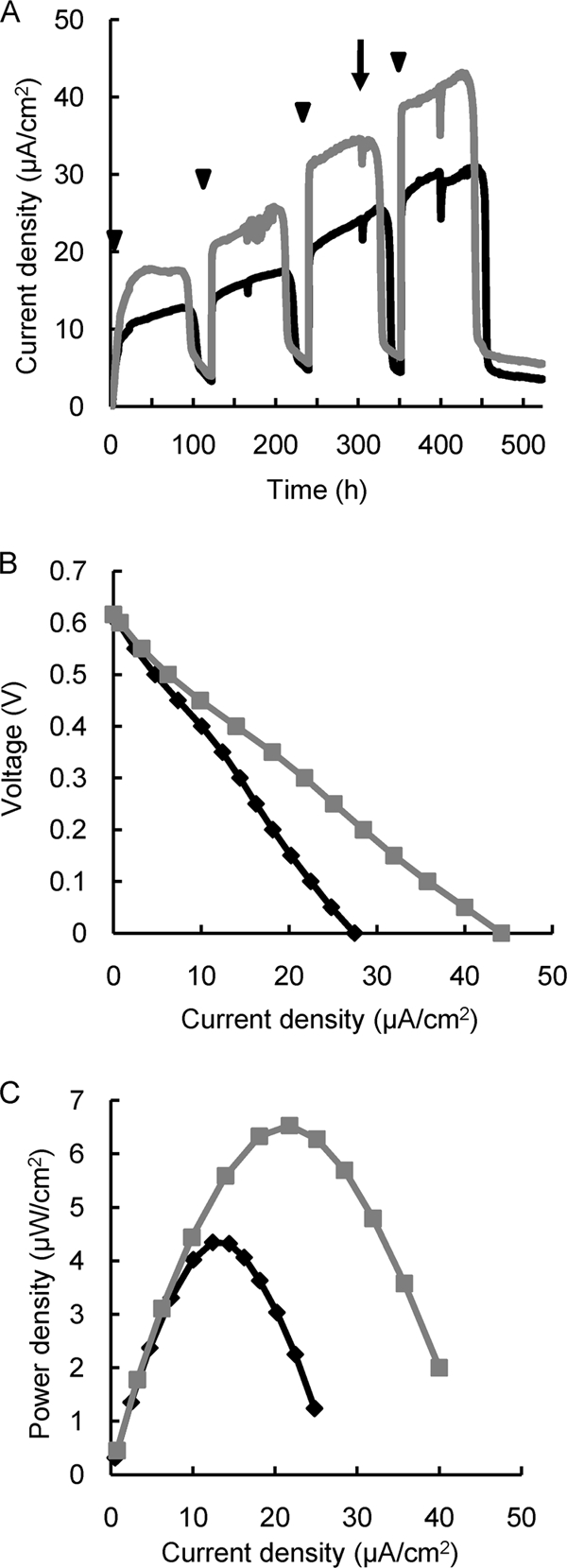 FIG. 3.