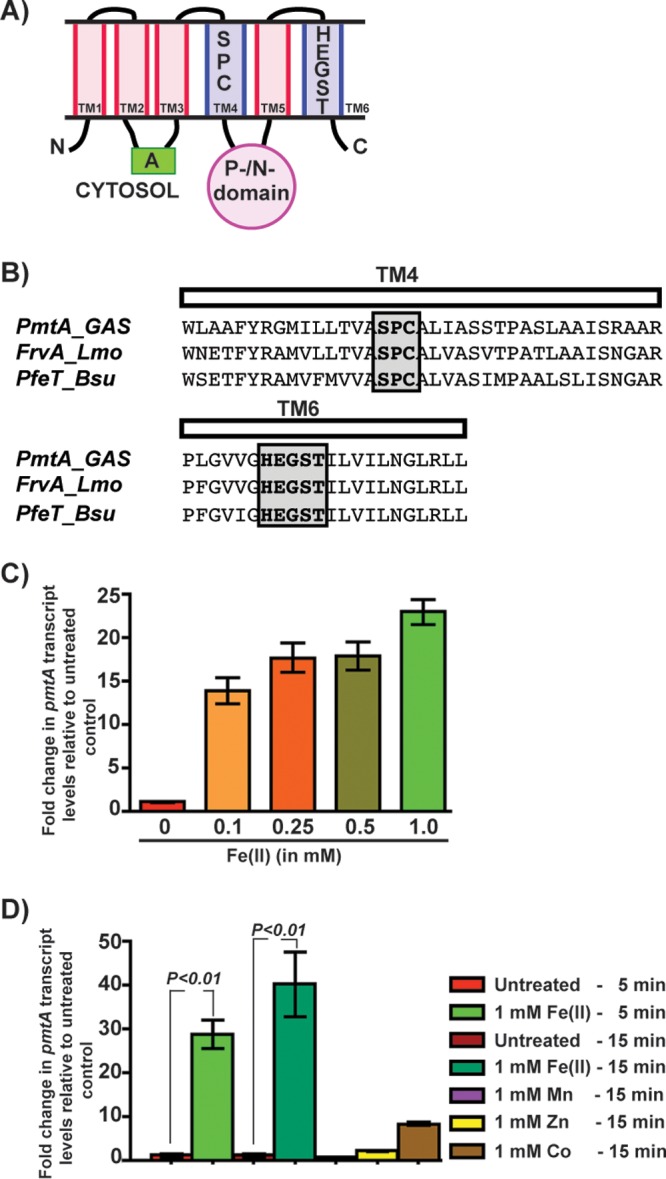 FIG 1