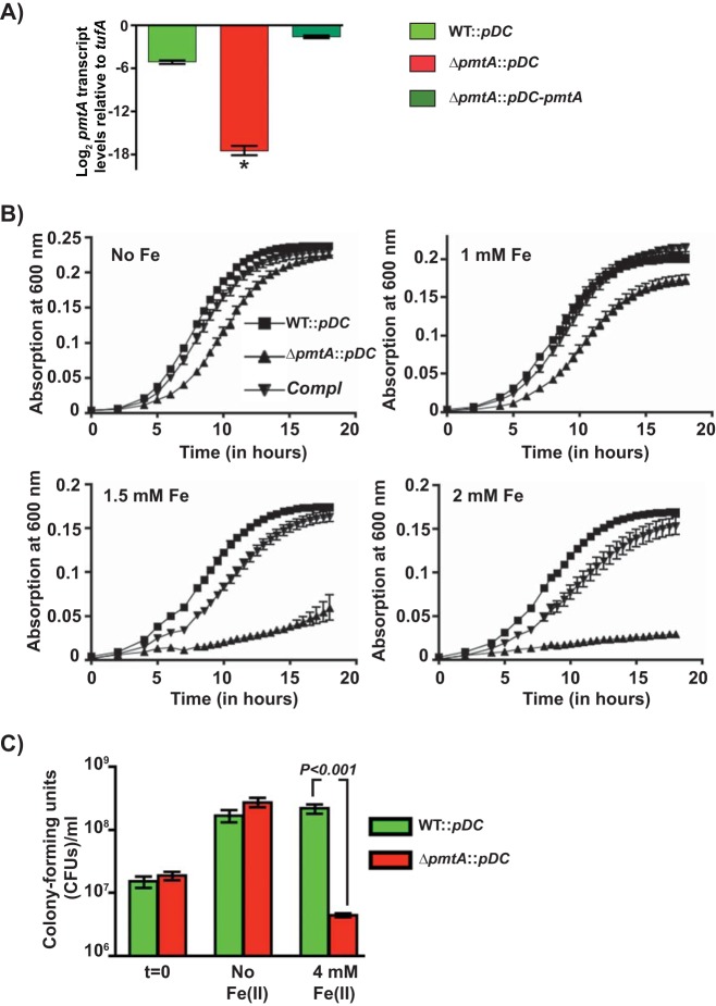 FIG 2