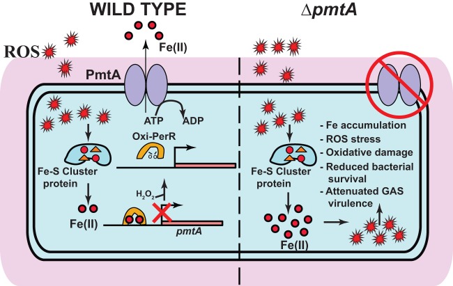 FIG 6