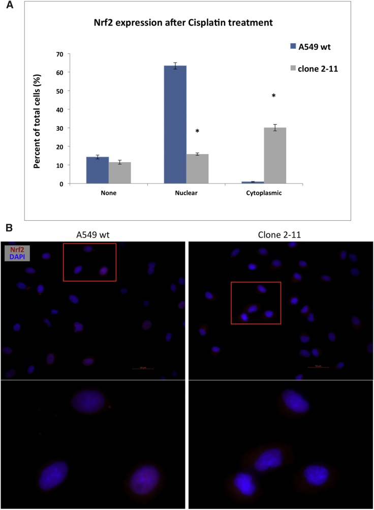 Figure 7