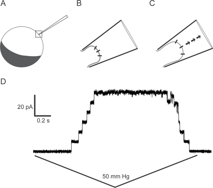 Fig. 4.