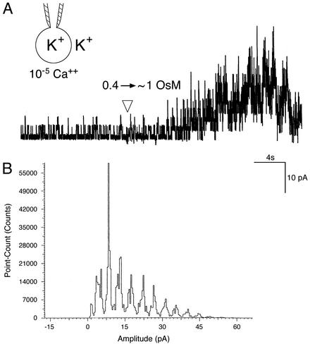 Fig. 5.