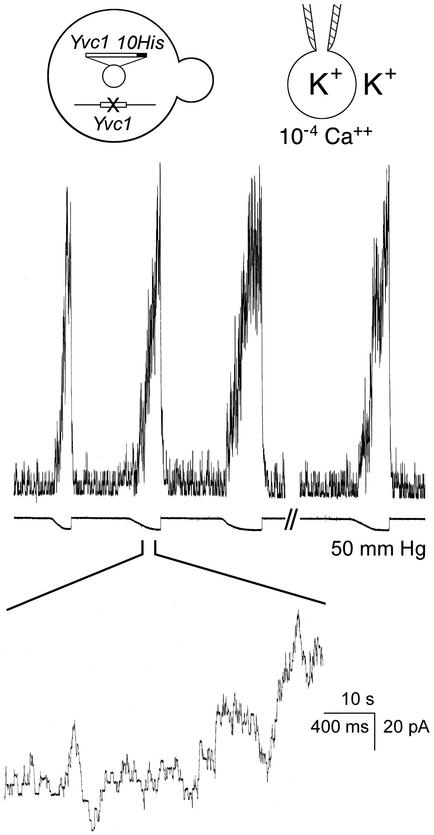 Fig. 4.