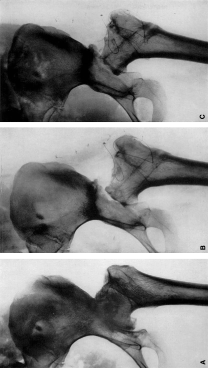 Fig. 2A–C