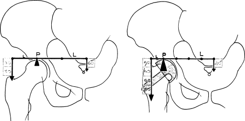 Fig. 10