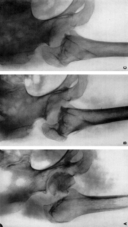 Fig. 9A–C