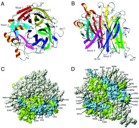 FIG. 4.