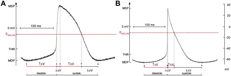 Fig. 2