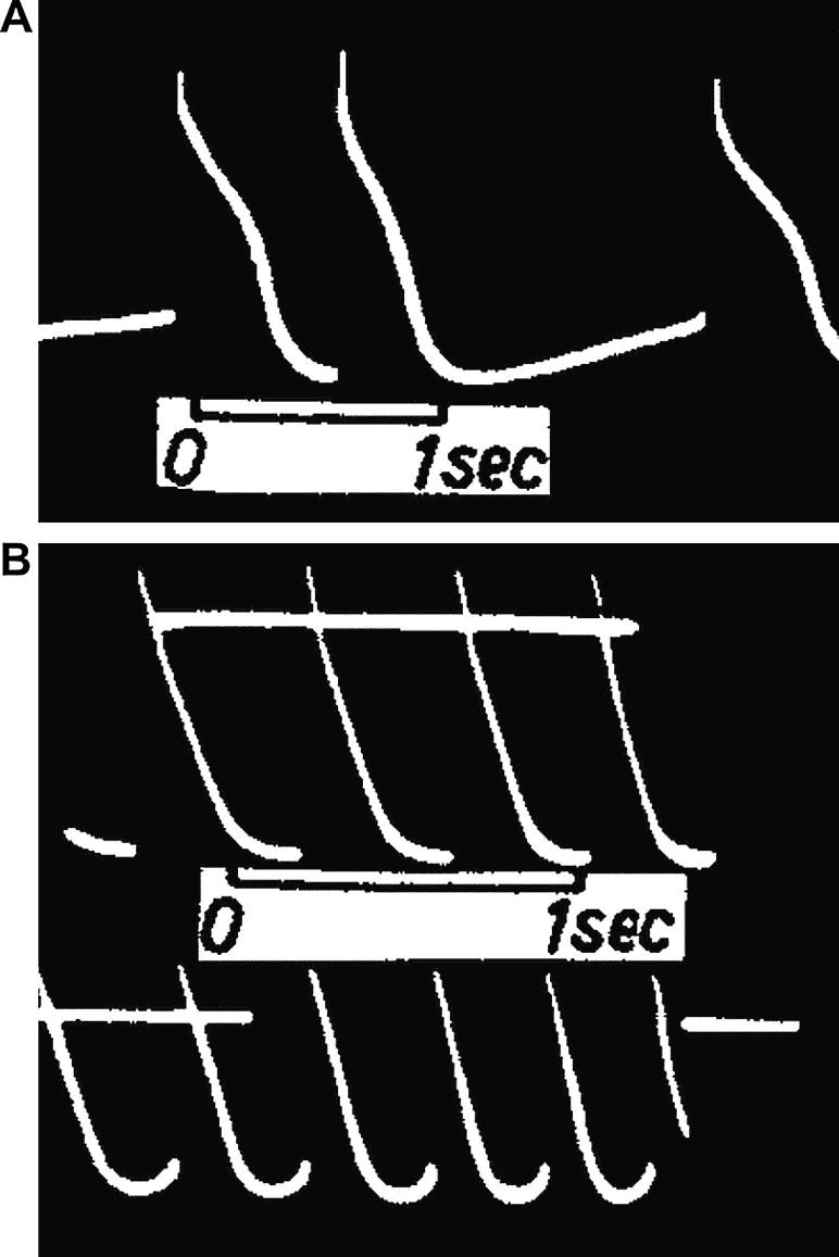 Fig. 5