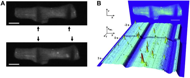 Fig. 3