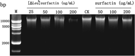 Fig. 9