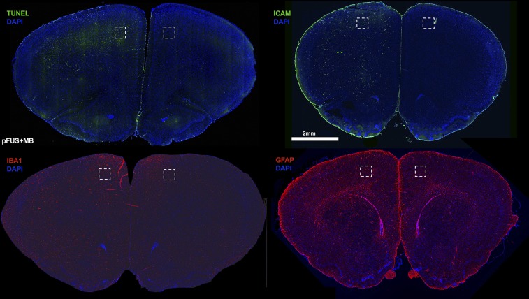 Fig. S3.