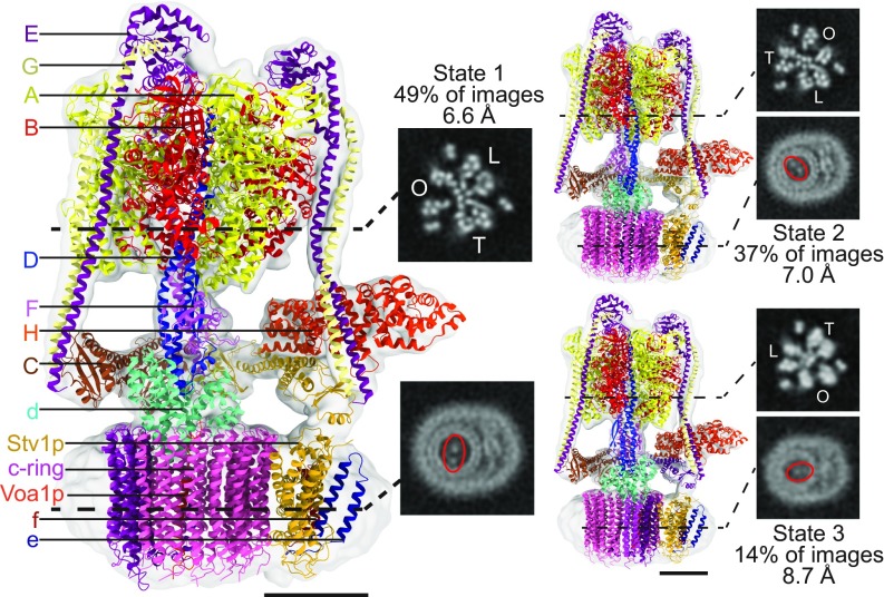 Fig. 2.