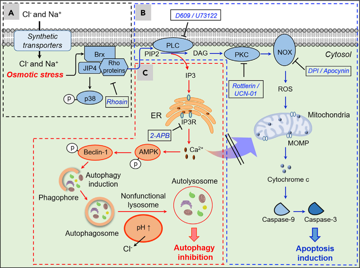 Figure 6.