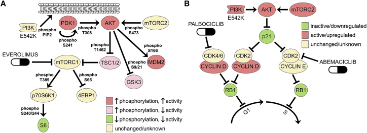 Figure 7