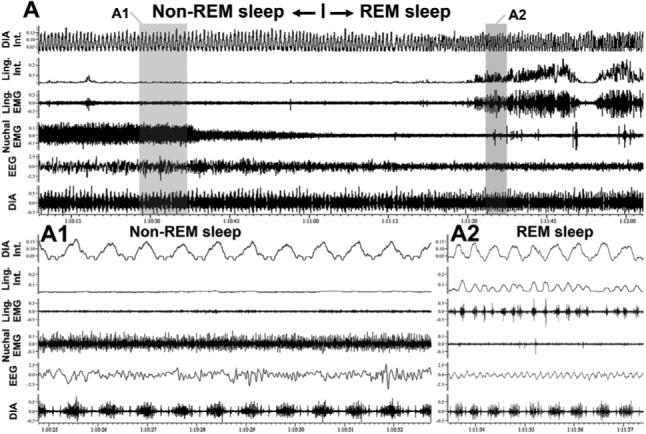 Fig. 3