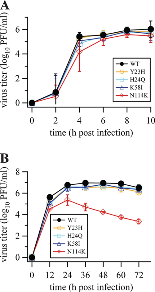 FIG. 1.