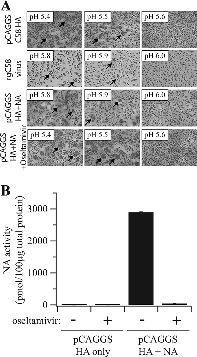 FIG. 4.