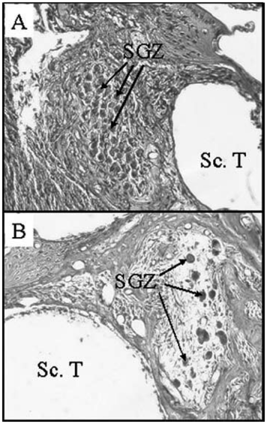 Figure 19