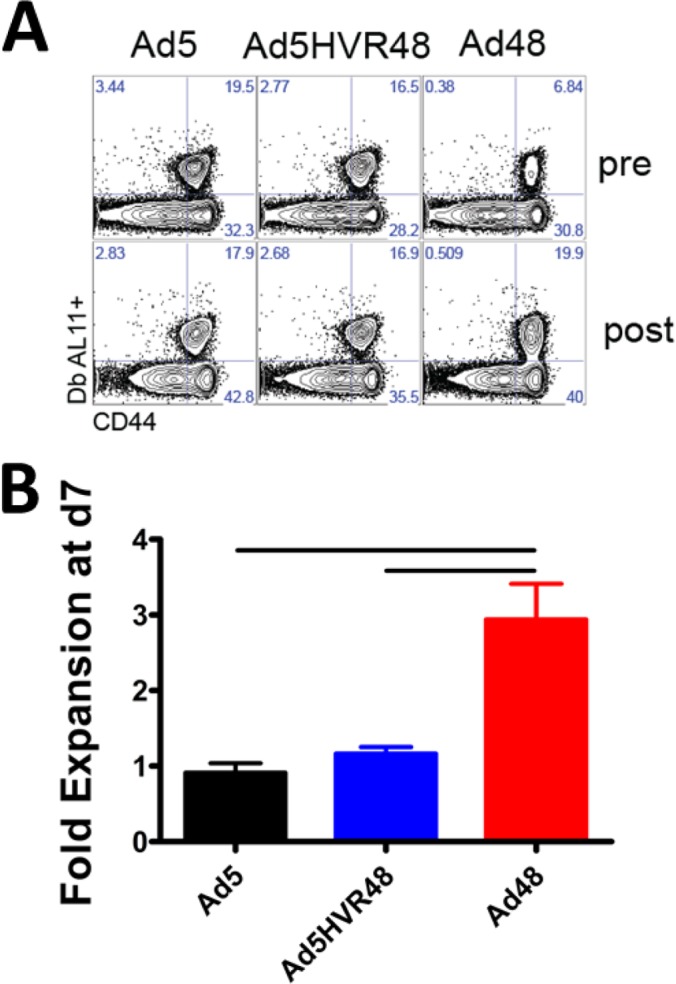 FIG 6