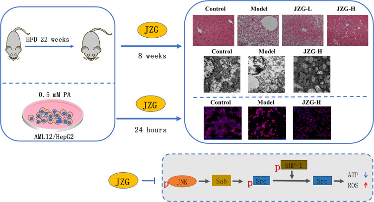 graphic file with name DMSO-18-23-g0001.jpg